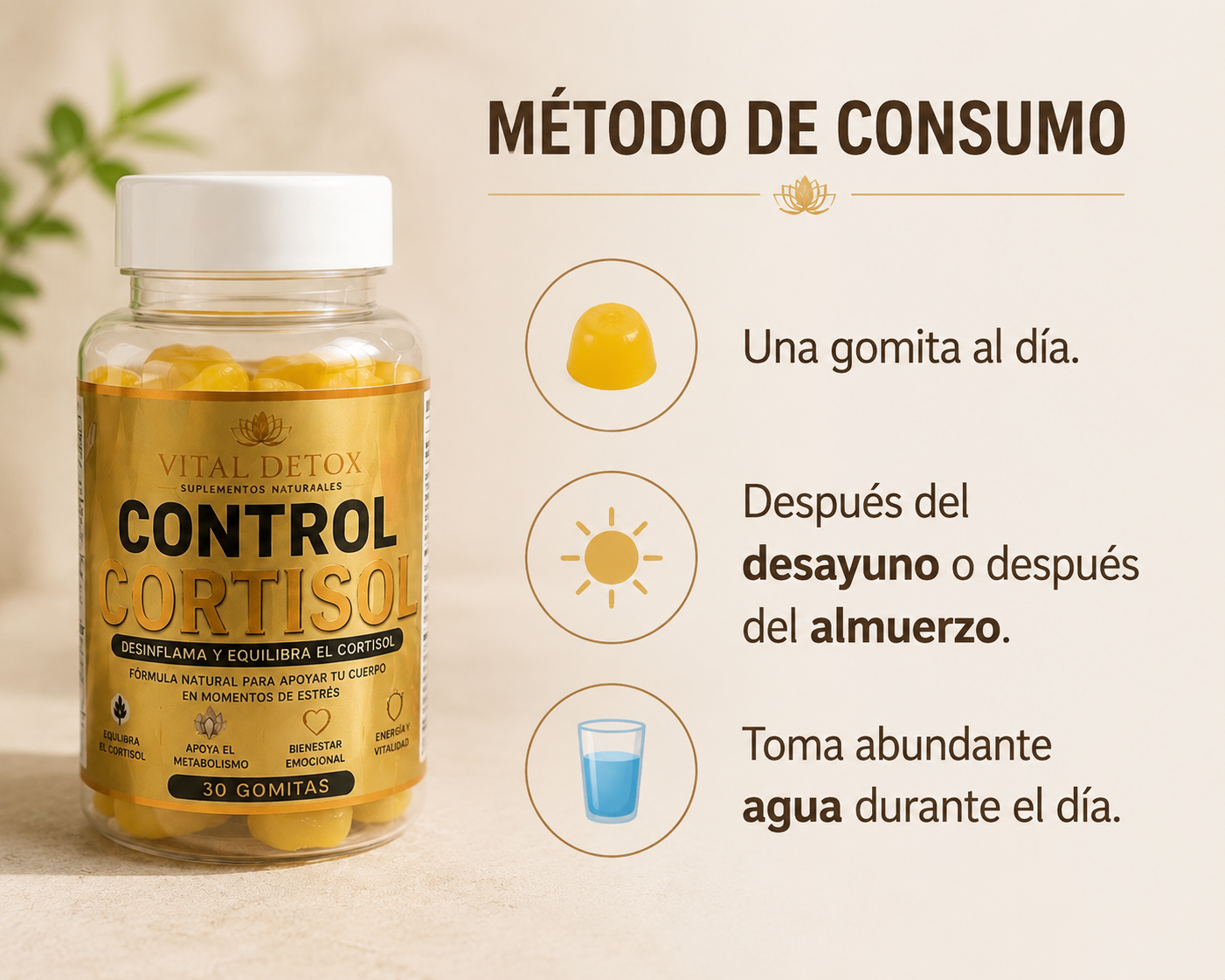 Pack dos meses de control cortisol